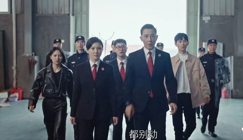 评电视剧《执行法官》（执行法官纪录片）