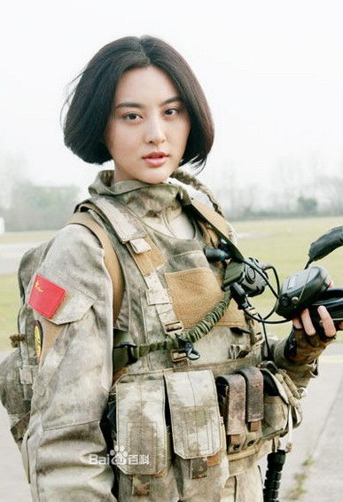 特种兵之火凤凰免费观看全集（我是特种兵之火凤凰免费观看全集）