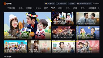 vip电影免费追vip电视剧在线观看（vip电影_免费vip电影电视剧在线观看）