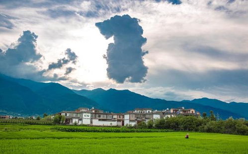 去有风的地方在云南哪里拍摄(去有风的地方) 去有风的地方在云南哪里拍摄(去有风的地方)