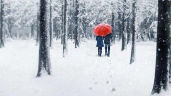 长津湖免费观看完整版高清下载(长津湖正版高清免费观看) 长津湖免费观看完整版高清下载(长津湖正版高清免费观看)