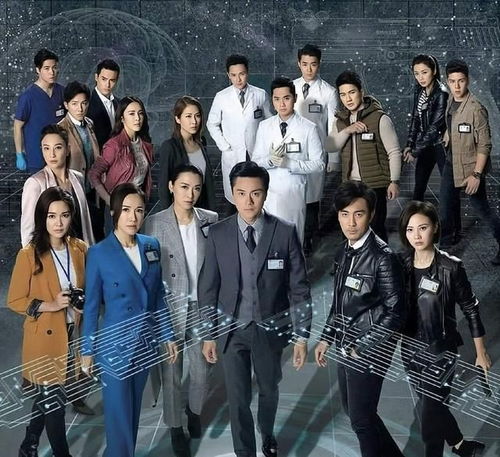 法证先锋6电视剧免费观看（法证先锋免费观看全集）