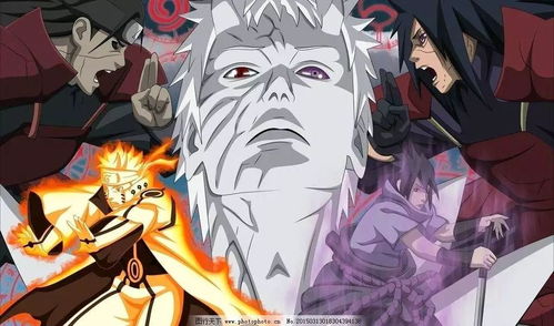 火影忍者动画在线观看免费版（火影忍者动画片全集在线观看）