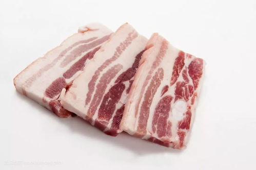 肥肉合集(肥肉合集大结局是什么) 肥肉合集(肥肉合集大结局是什么)