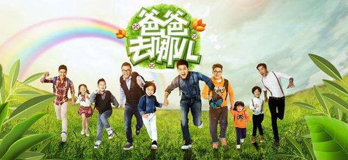 爸爸去哪儿第一季全集（爸爸去哪儿第1季完整版）