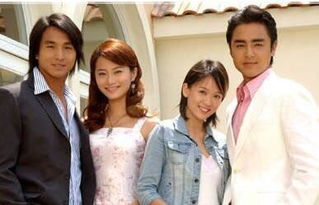 台湾偶像剧排行50部（台湾偶像剧排行榜前十名）