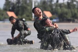 特种兵电视剧全部(特种兵电视剧全部连续剧) 特种兵电视剧全部(特种兵电视剧全部连续剧)