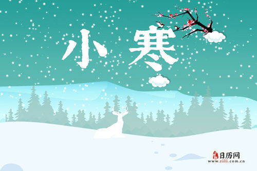 拾欢(拾欢什么意思) 拾欢(拾欢什么意思)