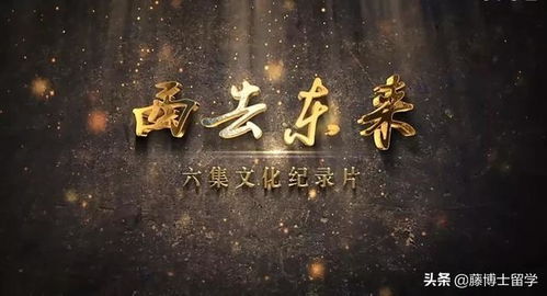 人生必看10部纪录片(中国10部顶级纪录片) 人生必看10部纪录片(中国10部顶级纪录片)