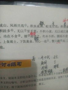 锲而不舍（锲而不舍读音qi还是qie）