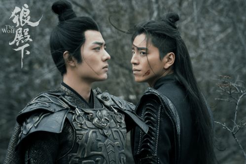 斗罗大陆400集全集看（斗罗大陆全集免费观看40集）