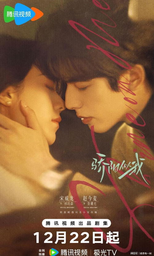 电视剧免费看（骄阳似我电视剧免费观看）