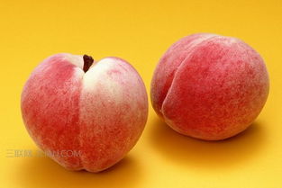 水蜜桃美国的简单介绍 水蜜桃美国的简单介绍