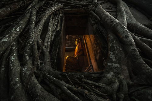 盗墓笔记小说顺序(盗墓笔记小说顺序是怎么排的) 盗墓笔记小说顺序(盗墓笔记小说顺序是怎么排的)