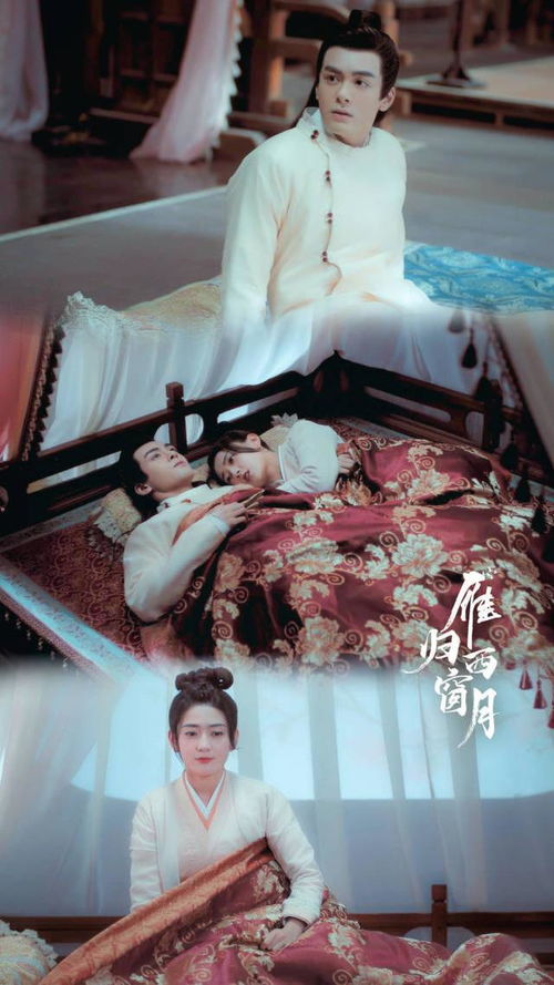 雁归西窗月免费观看电视剧全集(雁归西窗月免费观看电视剧全集高清) 雁归西窗月免费观看电视剧全集(雁归西窗月免费观看电视剧全集高清)