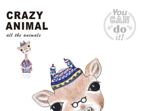 人物动物互动高清视频素材下载(人物动物互动高清视频素材下载网站) 人物动物互动高清视频素材下载(人物动物互动高清视频素材下载网站)