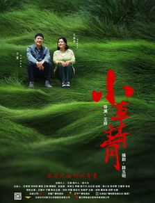 小草青青在线观看免费(小草青青电视剧免费的) 小草青青在线观看免费(小草青青电视剧免费的)