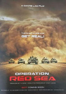 红海行动电影在线观看(红海行动电影在线观看国语) 红海行动电影在线观看(红海行动电影在线观看国语)