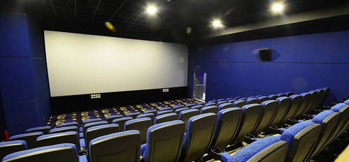 影院禁18岁以下观众观映的简单介绍