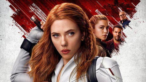 黑寡妇的简单介绍 黑寡妇的简单介绍