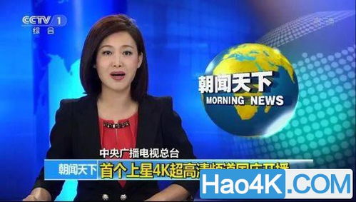 cctv13频道直播(cctv13频道直播在线CCTV13) cctv13频道直播(cctv13频道直播在线CCTV13)