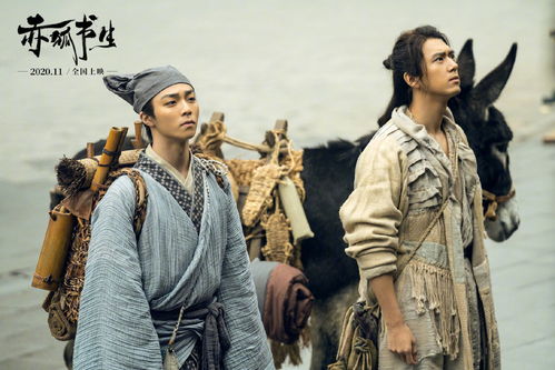 古装电影（古装电影在线播放免费观看）