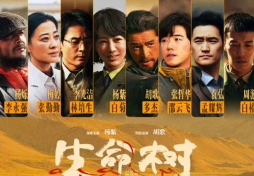 驻站电视剧免费播放在线观看（驻站电视剧免费播放在线观看完整版焖面怎么做好吃）