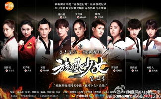 旋风少女第一季（旋风少女第一季剧情介绍）