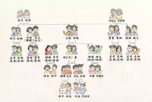 兄弟的母亲（兄弟的母亲怎么称呼）