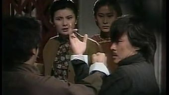 一剪梅（一剪梅电视剧）