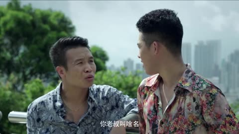 四平青年1正版免费（四平青年1完整版资源）