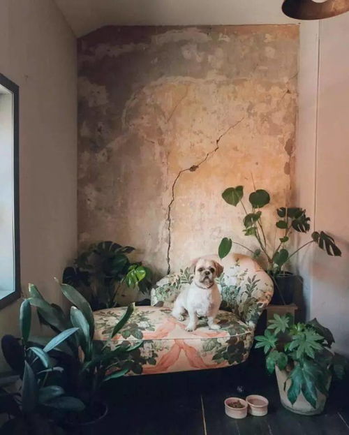 《在姨母家的客厅》中字(在姨母家的客厅中字山口珠理的) 《在姨母家的客厅》中字(在姨母家的客厅中字山口珠理的)