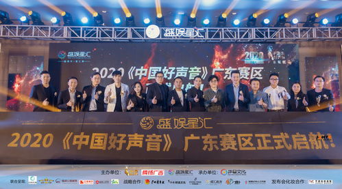 中国好声音2022在线观看（中国好声音2020在线观看高清）