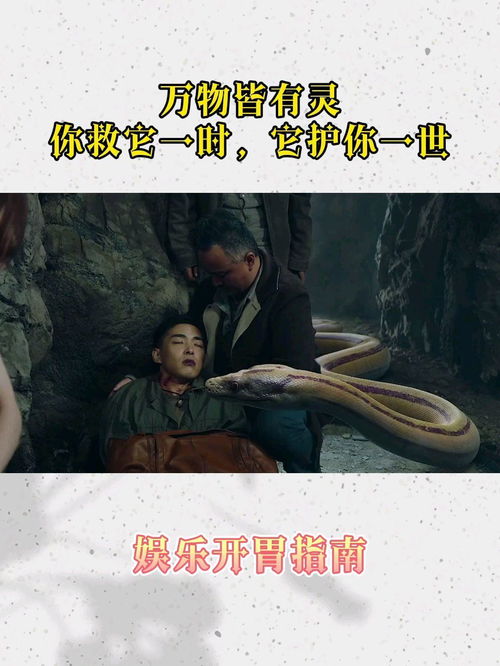 巨兽狂蟒食人岛（食人蟒蛇岛哪里可以看）