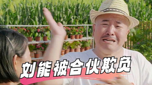 乡村爱情（乡村爱情8全集免费）