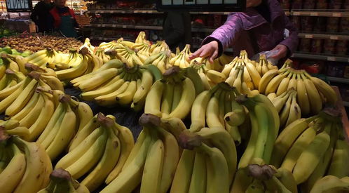 关于成品大香伊煮蕉免费在线的信息