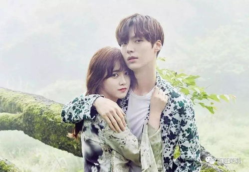 好男人电视剧在线观看高清（好男人电视剧在线观看高清青青草）