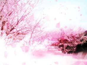 樱花动漫官方入门网站（樱花动漫yhd官网）