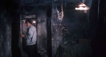 被中国封了30年的鬼片(中国被禁的鬼片有哪些?) 被中国封了30年的鬼片(中国被禁的鬼片有哪些?)