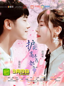 护花高手在都市（护花高手在都市夏天有多少个老婆）