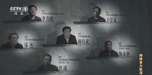 第三集《贪欲之殇》（贪欲之殇观后感）