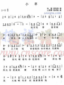 歌曲《小草》原唱（歌曲踏浪原唱）