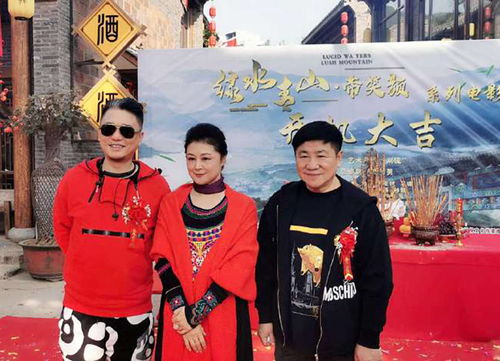 乡村爱情12部（乡村爱情12部刘大脑袋去哪了）