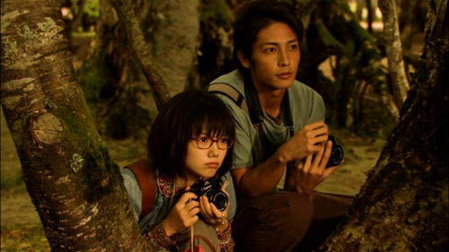 免费看日本纯爱正片电影（2020年日本纯爱电影）