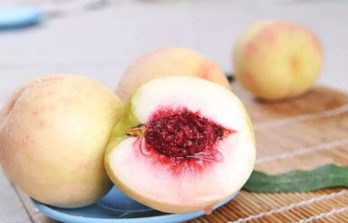 水蜜桃4小蜜桃4的简单介绍 水蜜桃4小蜜桃4的简单介绍