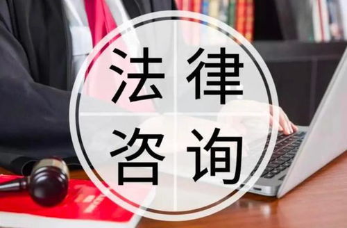 法律咨询(法律咨询服务) 法律咨询(法律咨询服务)