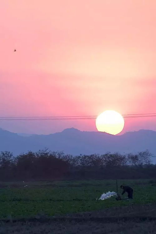 一半清欢（两人三餐四季 一半烟火 一半清欢）