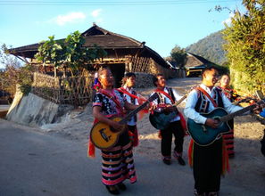 《奔跑吧12》茶马古道篇(奔跑吧跑茶加盟电话) 《奔跑吧12》茶马古道篇(奔跑吧跑茶加盟电话)
