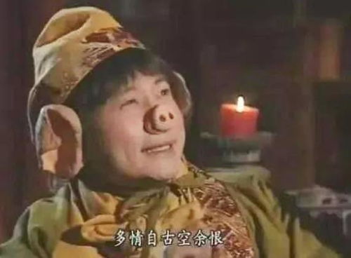 八戒网剧在线观看8集免费版高清（播放电视剧八戒）