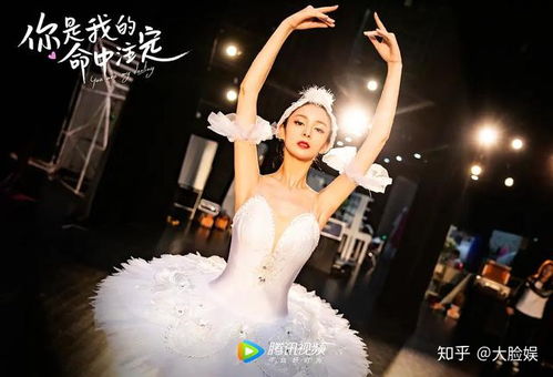 命中注定我爱你韩剧（命中注定我爱你韩剧全集观看）